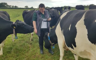 Using existing on-farm sensor technologies to study cow welfare