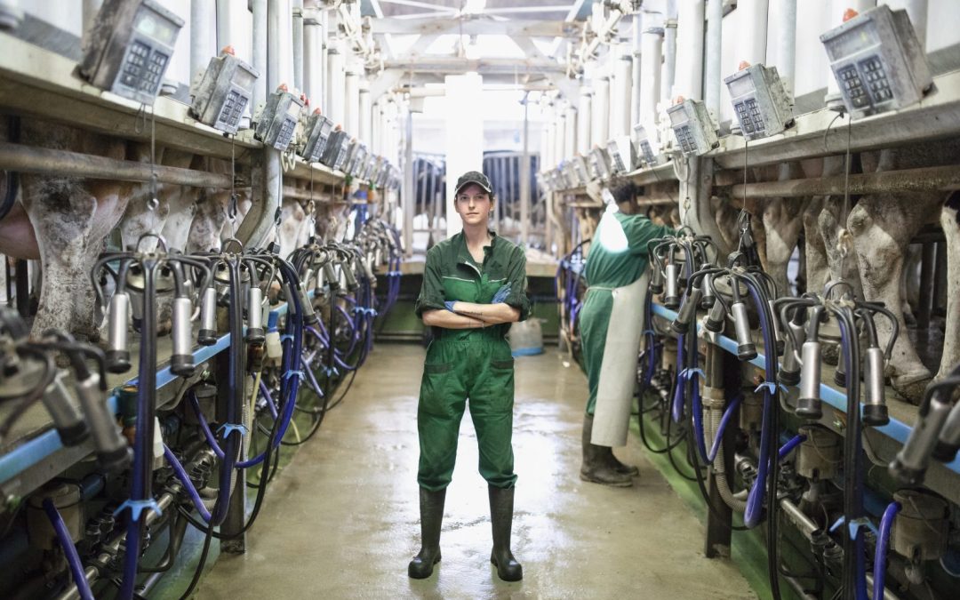 Think Dairy careers pilot launches in Lanarkshire