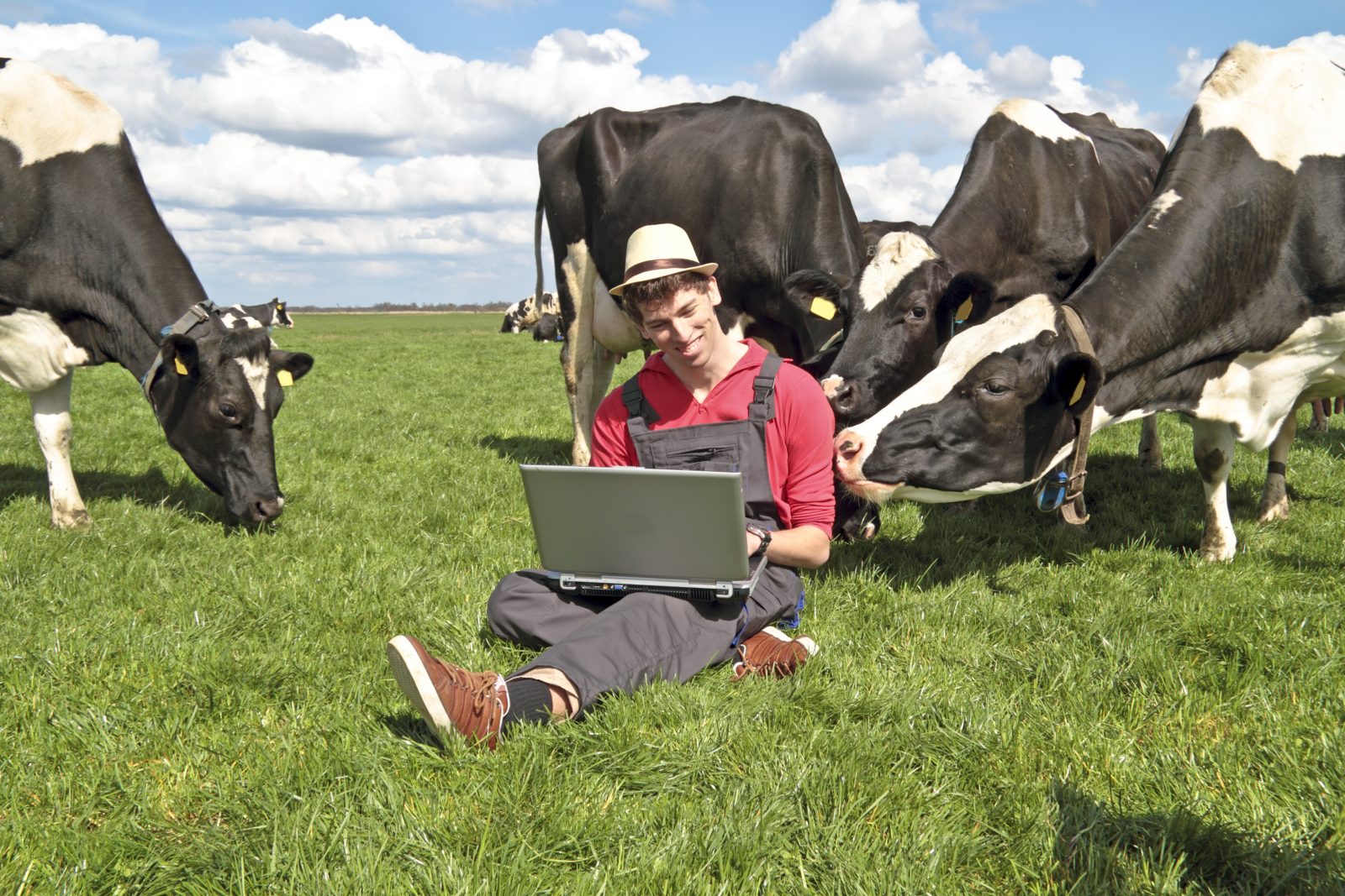 Man on laptop in field